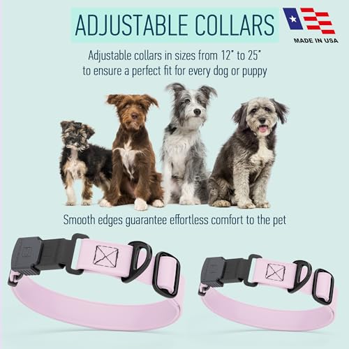 Biothane Waterproof Dog Collar with Herm Sprenger Stainless Steel Quick Release Buckle (W 3/4" x L 12"-19" / Pastel Purple)