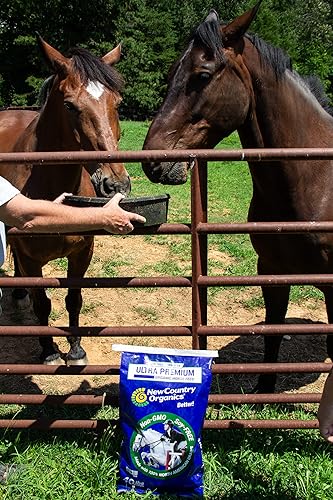 Elite Horse Feed for Horses Under The Stresses of Competition and Travel (40 Pound (Pack of 1))