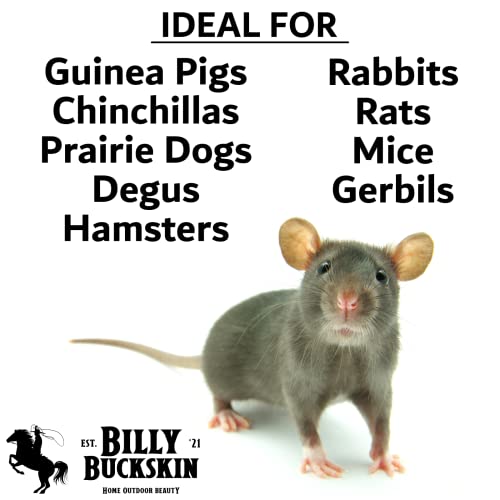 Chinchilla Chew Toys (1 Count (Pack of 6))