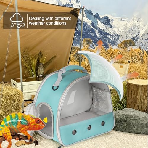 Bearded Dragon Carrier (Green)
