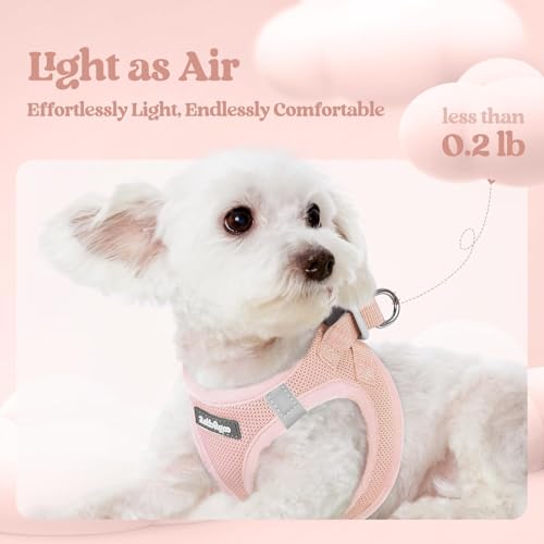 Dog Harness Medium Sized and Leash Set (Pink / L (chest: 18.2 - 20.5"))