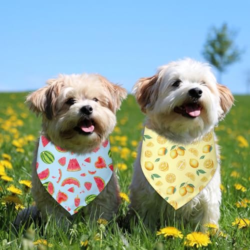 2 Pack Summer Dog Bandanas (G)