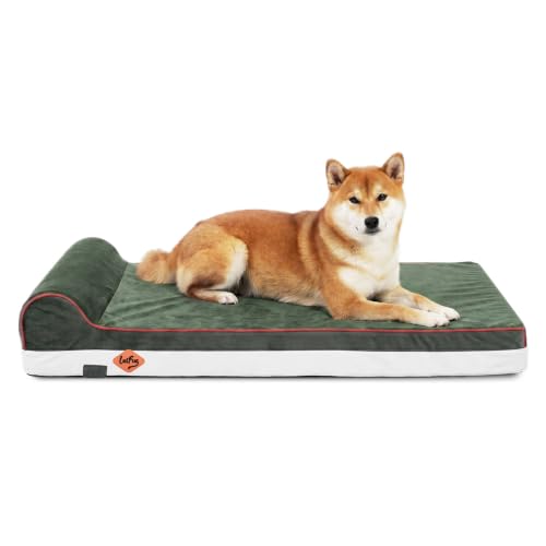 Orthopedic Dog Bed (34.0"L x 22.0"W x 5.5"Th / Dark Green)
