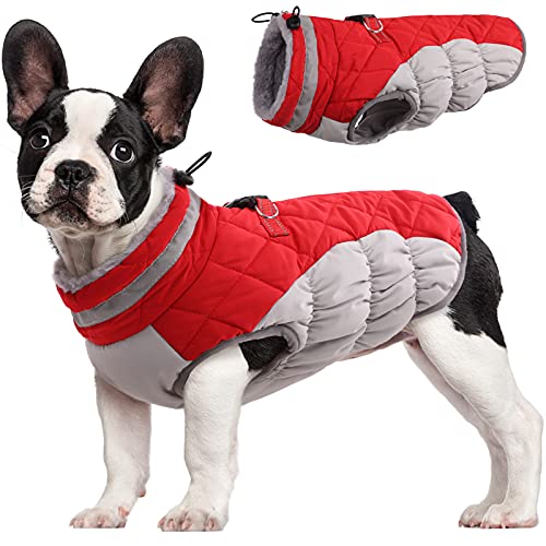 Dog Coat for Small Dogs (Red / XS(chest:14in))