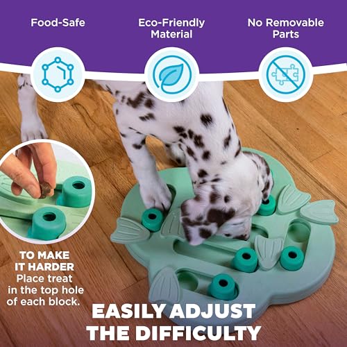 Nina Ottosson Puppy Hide N' Slide Dog Toy Treat Puzzle (Green / 1 Count (Pack of 1))