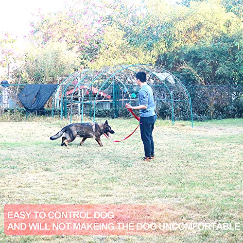 Dog Puppy Obedience Recall Training Agility Lead (Blue / 20 Feet)