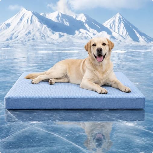 Cooling Dog Bed for Large Dogs (Blue / Large: 35" x 22" x 3")