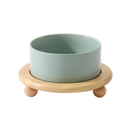 Raised Cat Bowl 6.1” Elevated Ceramic Cat Food and Water Bowl (Light Green)