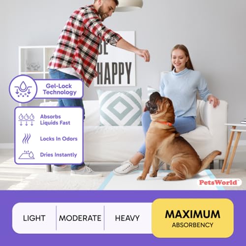 Giant Dog Potty Pads (36x36 Unscented / 25 Count)