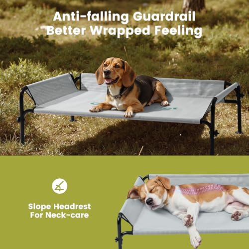 Elevated Dog Bed for Medium Size Dog (Black / Medium)