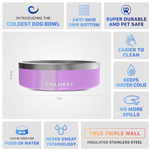Coldest Dog Bowl (42 oz / Saturns Purple Glitter)