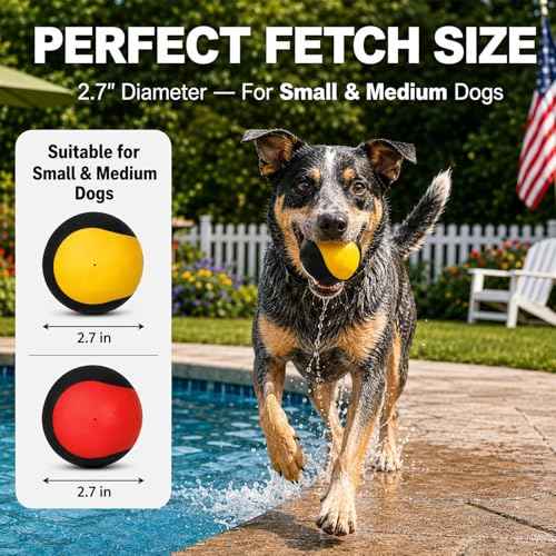 Squeaky Balls for Dogs (YellowBlack)