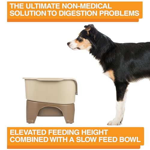 Express Model w (Medium to Large w/ Metal Slow Feed Bowl / Cappuccino)