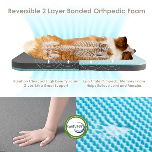 Orthopedic Foldable Human Dog Bed (72x44x11(Folded 44x36) / Camel)