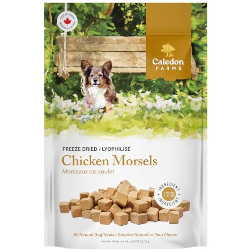 Chicken Morsels Dog Treats (4.4 Ounce (Pack of 1))