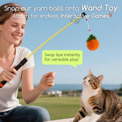 12 Pack Cat Toy Balls