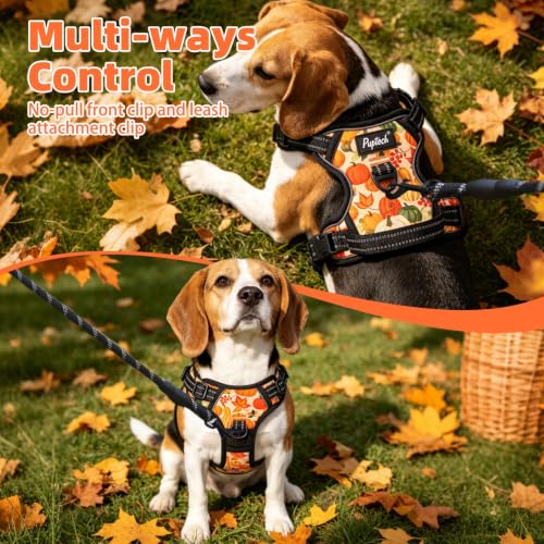 No Pull Fall Dog Harness Medium Sized (Yellow(Pumpkin) / Medium)