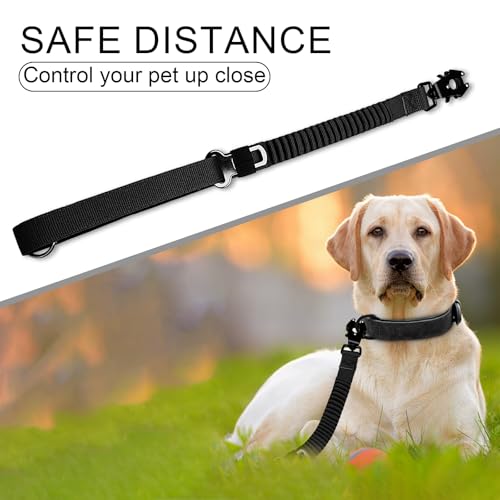 20” Strong Short Leash for Dog (Black)