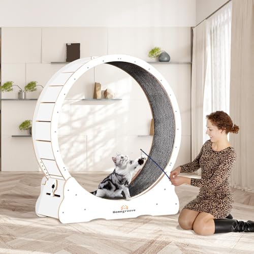Cat Running Wheel (XL / White)