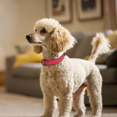 Soft PU Leather Dog Collar (M: Neck 11-15", Width ¾" / Red)