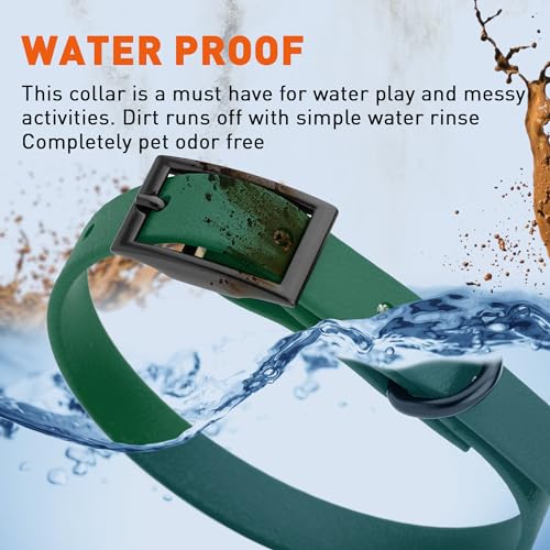 Biothane Waterproof Dog Collar Strong Coated Nylon Webbing with Black Hardware Odor (W1/2" x L9-12" / Hunter Green)