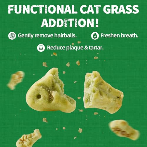 36 OZ Cat Grass Treats for Indoor Cats Hairball Control (2.25 Pound (Pack of 1))