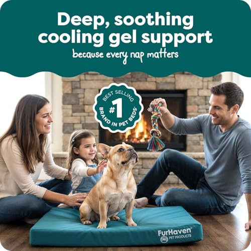 Water Resistant Orthopedic Dog Bed for Medium Dogs (Medium / Deep Lagoon)