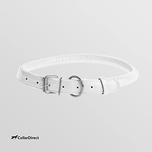 Tangle Free Rolled Leather Dog Collar (White / XXS)