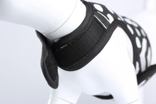 Cat Harness and Leash Set Escape Proof (Black Polka Dots / L 8-12 lbs)