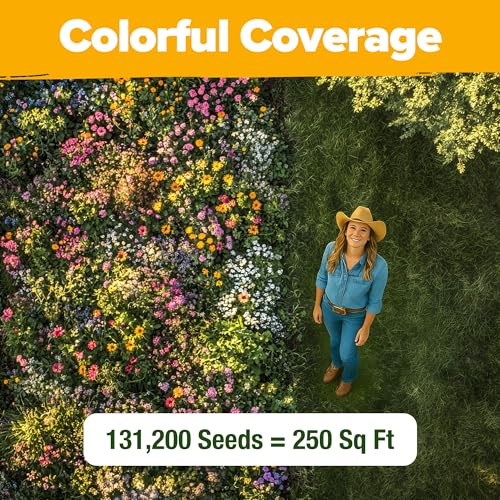 Texas Wildflower Mix 131