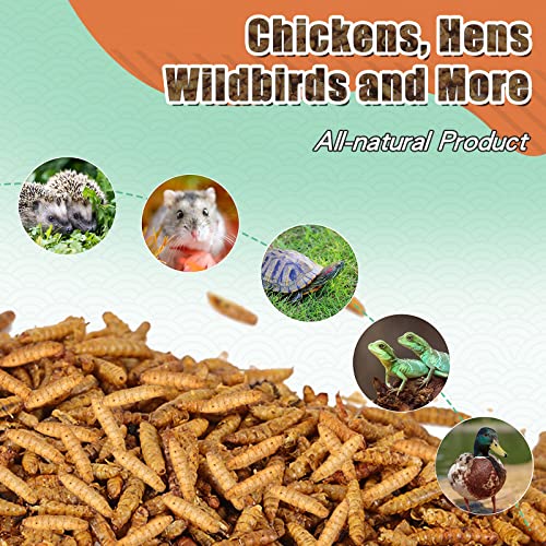 11lb Dried Black Soldier Fly Larvae for Chickens Hen High Protein Duck Food (11 Pound (Pack of 1))