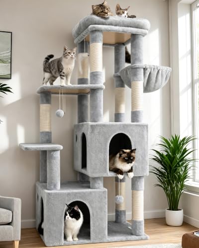 Heavy Duty Cat Trees for Big Cats Maine Coon (Cloud Grey / 61inch)