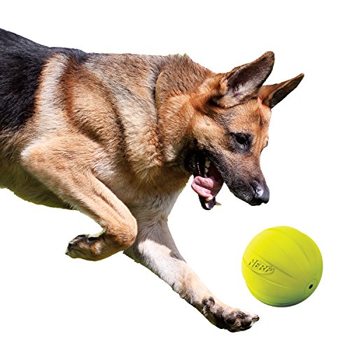 Rubber Ball Dog Toy with Squeaker (Green / 1 Count (Pack of 1) / Single)