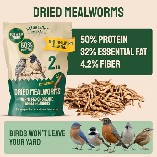 2lb Dried Mealworms for Wild Birds & Chickens (2 Pound (Pack of 1))