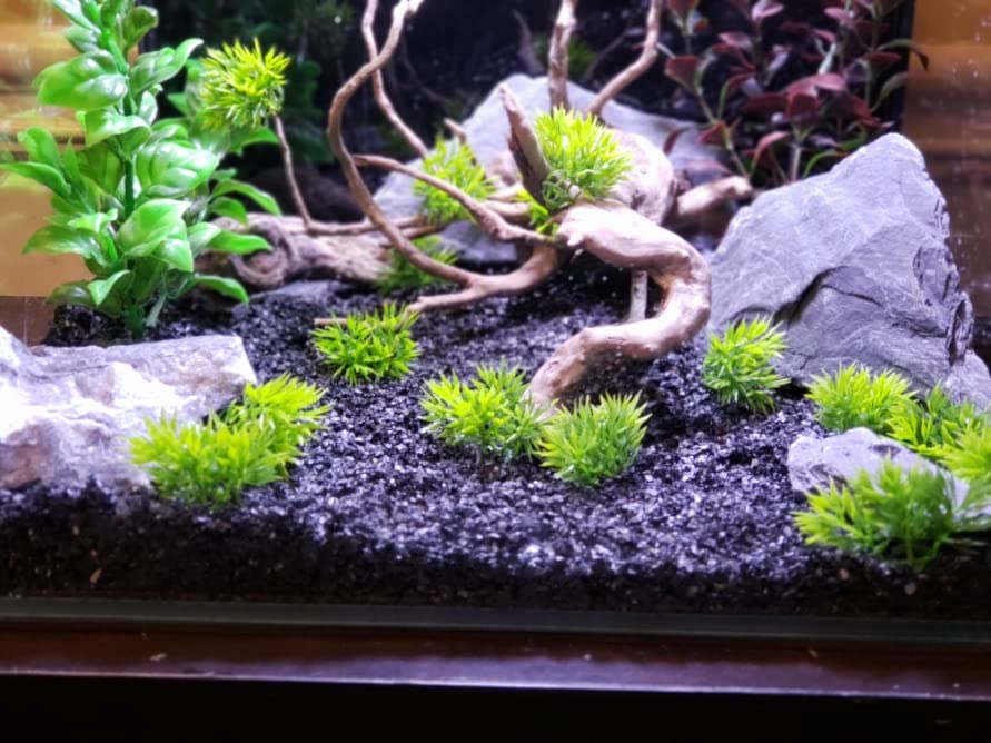 Natural Slate Stone 5 to 7 Inches (10 lbs)