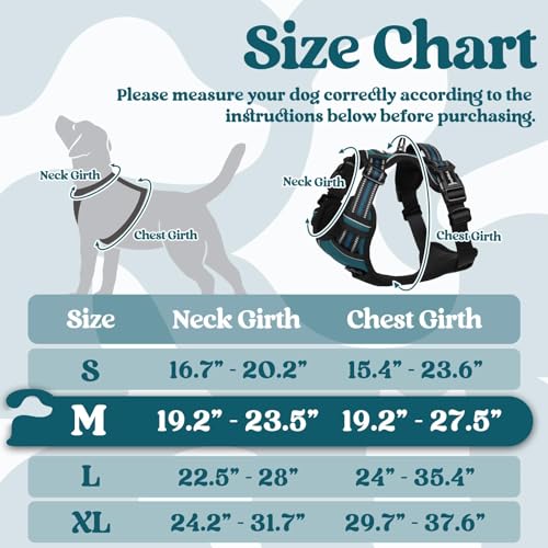 Dog Harness Medium Sized (Medium / Blue Coral)