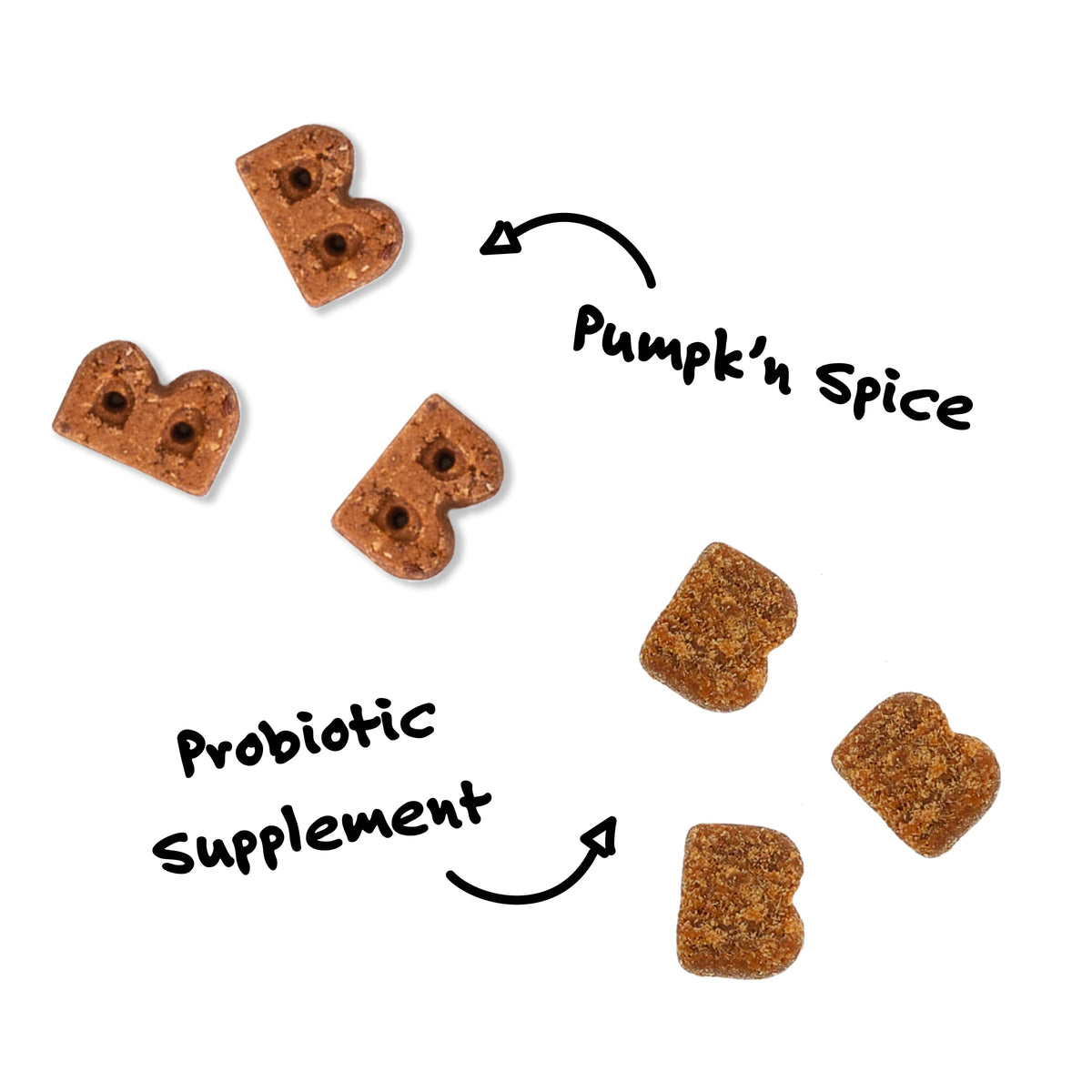 Pumpk'n Spice Soft Dog Treat + Probiotic Supplement Bundle