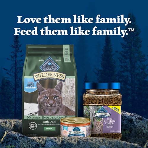 Wilderness Duck Adult Dry Cat Food (1 Count (Pack of 1))