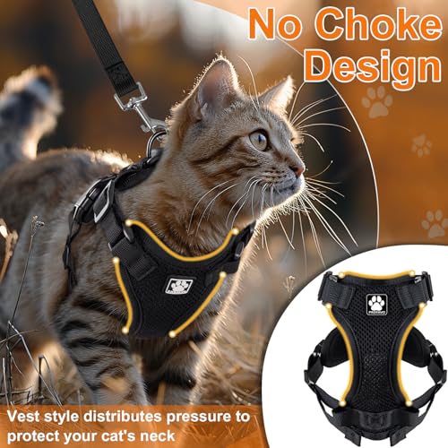 Cat Harness and Leash for Walking (XS / Black)