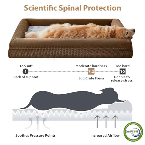 XL Extra Large Orthopedic for Senior Dog Bed Comfy Sleeping (Brown / X-L (41x28x7in))