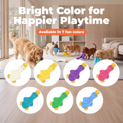 Interactive Squeaky Dog Toy (aCrinkle Duck (Turquoise) / Large)