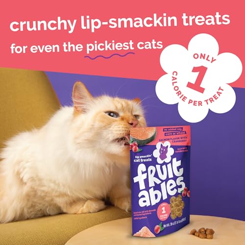 Crunchy Cat Treats (2.5 Ounce (Pack of 1) / Salmon & Cranberry)
