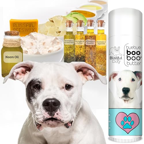 Dogo Argentino Boo Boo Butter (0.50 Ounce / Dogo Argentino)