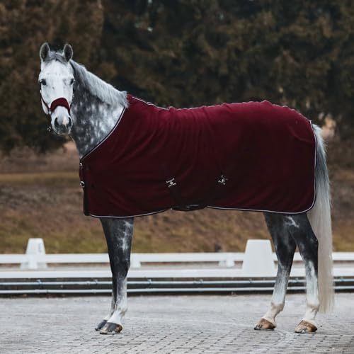 Kiel Horse Halter (Dark Red / Cob)