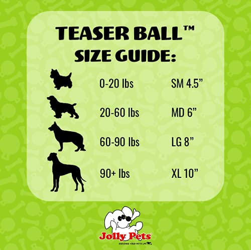 Teaser Ball Interactive Dog Toy (Blue / Large (8 in))