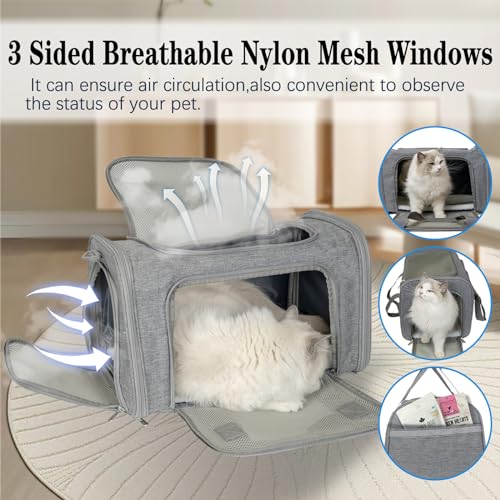 Dog Cat Carrier Pet Carriers for Small Medium Large Cats Dogs Carrier Soft Sided Small Puppy Dog Carrier Portable Foldable Airline Approved Dog Cat Travel Carrier Grey Medium (18.0"L x 11.5"W x 11.5"H / Grey)