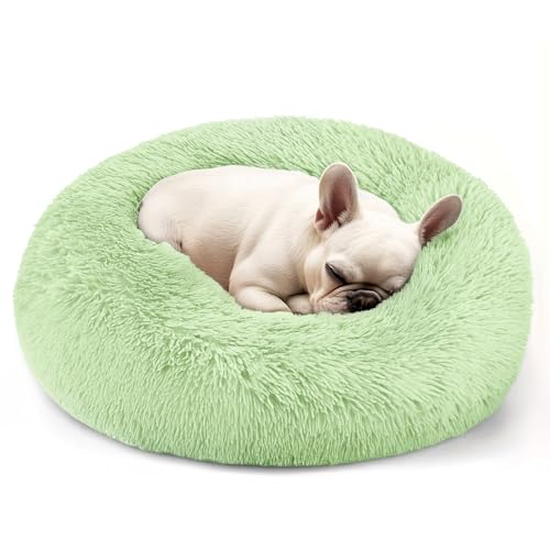 Dog & Cat Bed (Green / 20.0"L x 20.0"W x 8.0"Th)