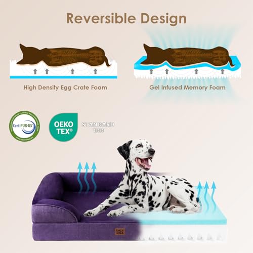 Orthopedic XXL Dog Bed (Purple / 48.0"l X 35.0"w X 8.0"th)