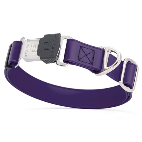 Biothane Waterproof Dog Collar with Herm Sprenger Black Stainless Steel Quick Release Buckle (W 1" x L 15"-25" / Violet Purple)