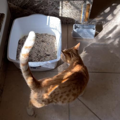 Fast Sifting Cat Litter Scoop with Holder Stand (0.2&0.4inch gap)